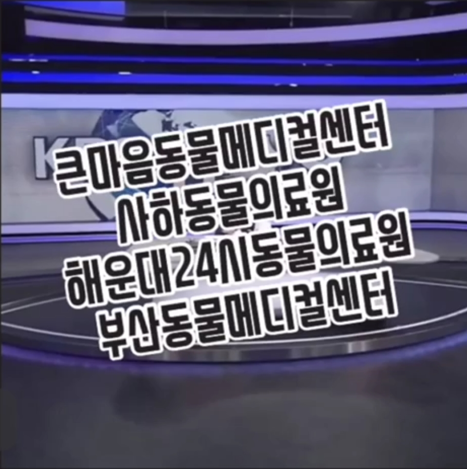 20191113_134024.jpg