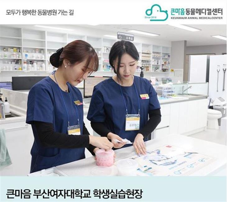 (2019)2학기 현장실습