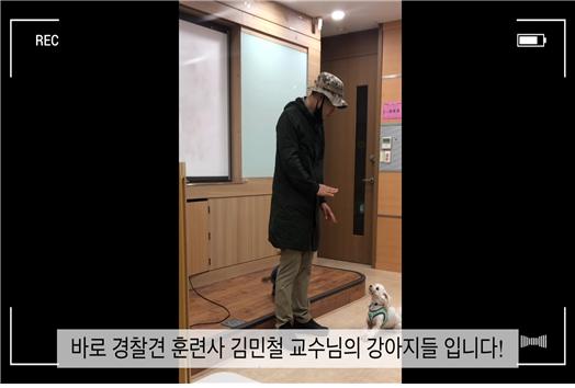 반려동물서비스-UCC경진대회3.jpg